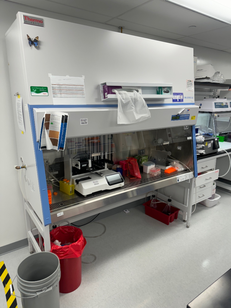 Image of Thermo 1300 Series A2 6' BioSafety Cabinet